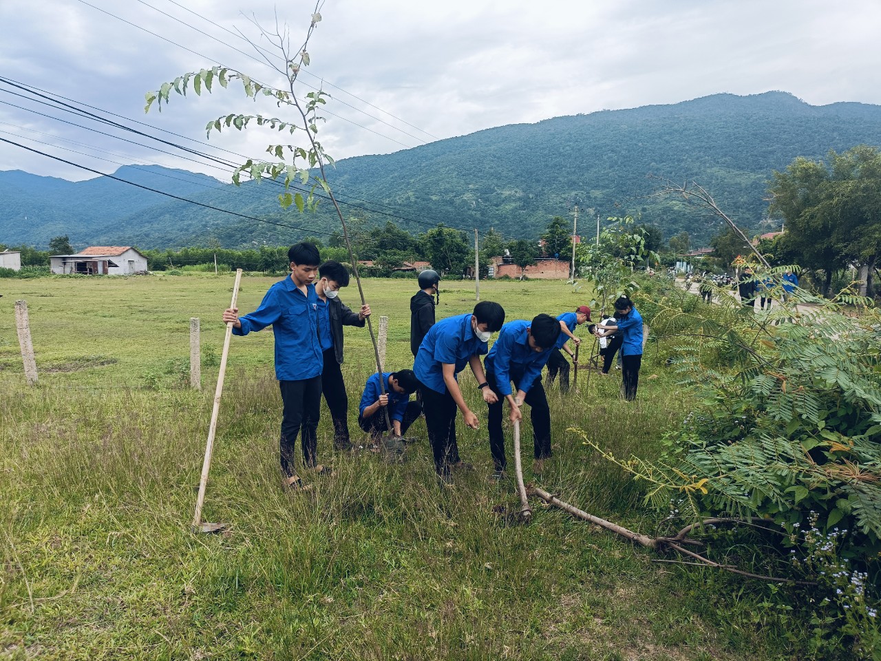 Đoàn viên Thanh niên xã Hòa Sơn ra quân trồng cây sao đen