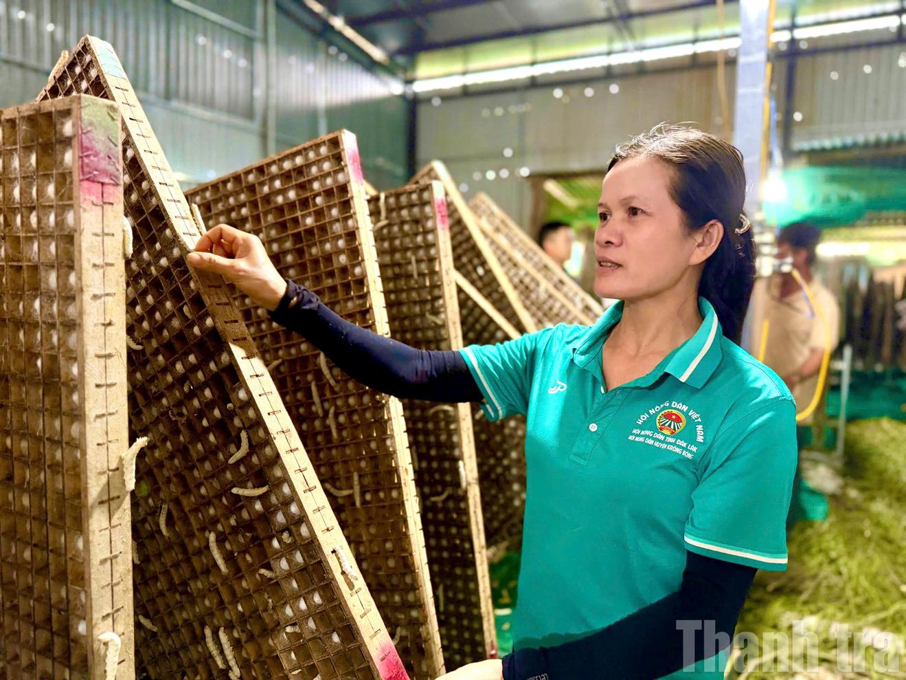 Phát huy nguồn lực chính sách, người dân Krông Bông tích cực vươn lên thoát nghèo bền vững