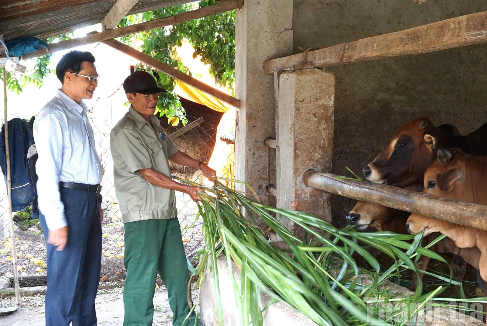 691dd04008dcb36fd59edad8