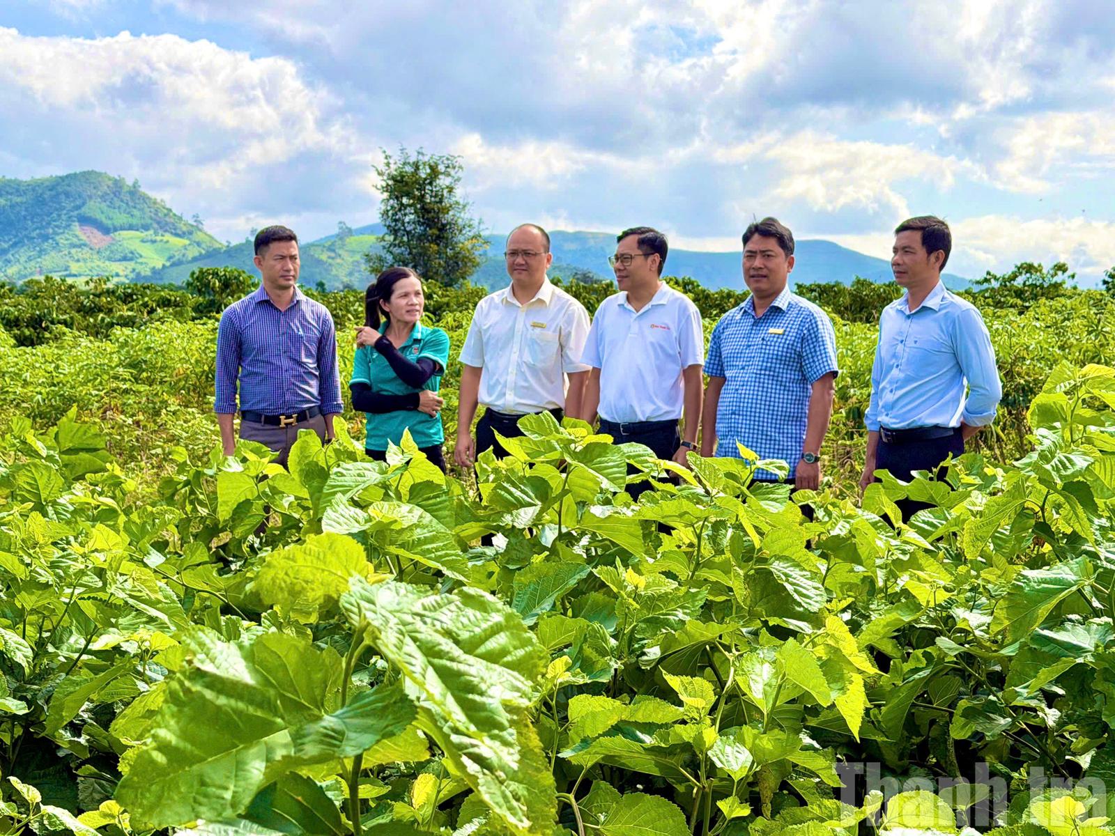 691dd0e508dcb36fd59edaf4