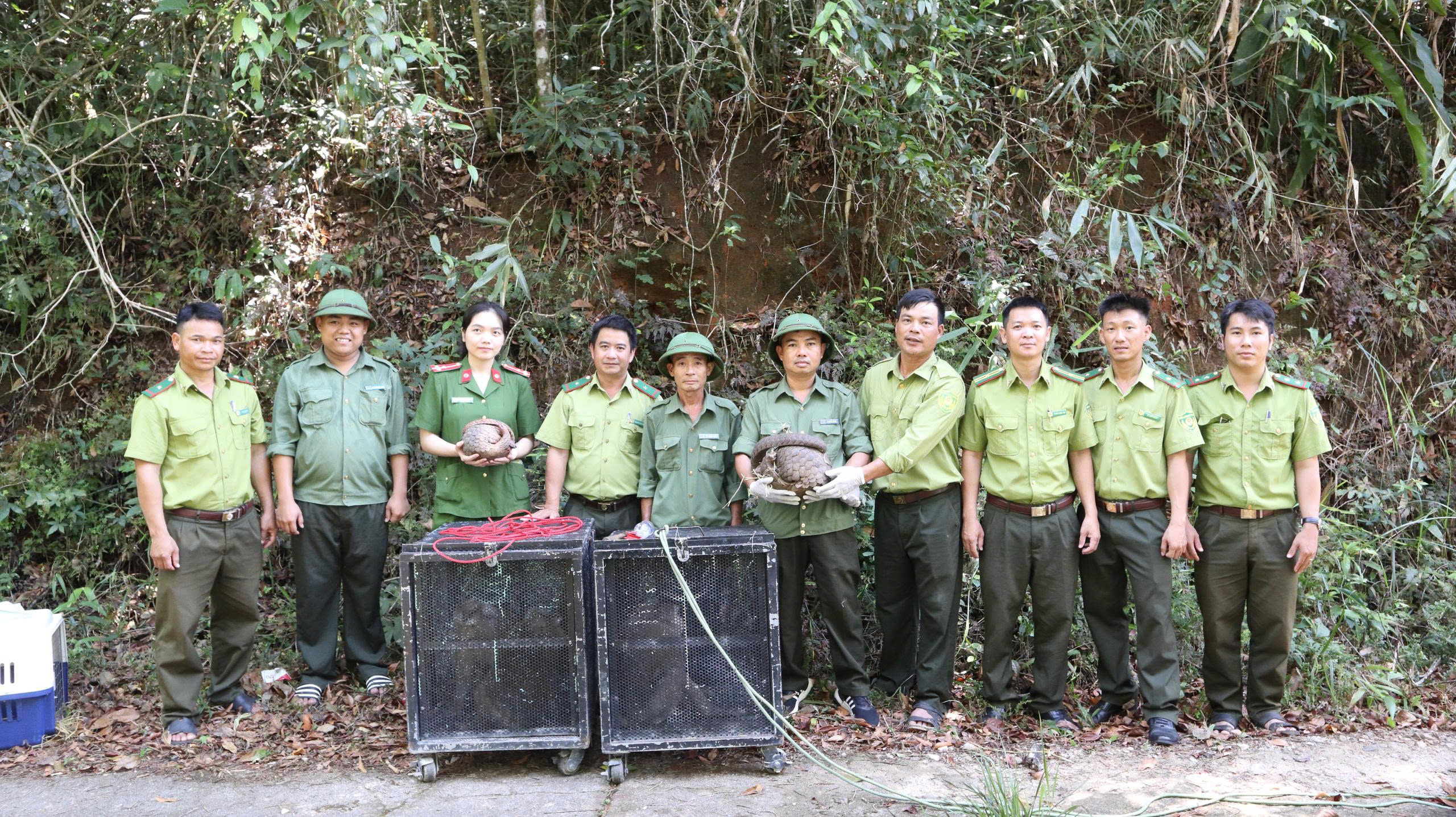 Thả 5 cá thể động vật hoang dã về môi trường tự nhiên